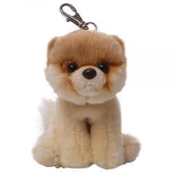 Boo the Dog Soft Toys Itty Bitty Boo Dog Boo the Dog